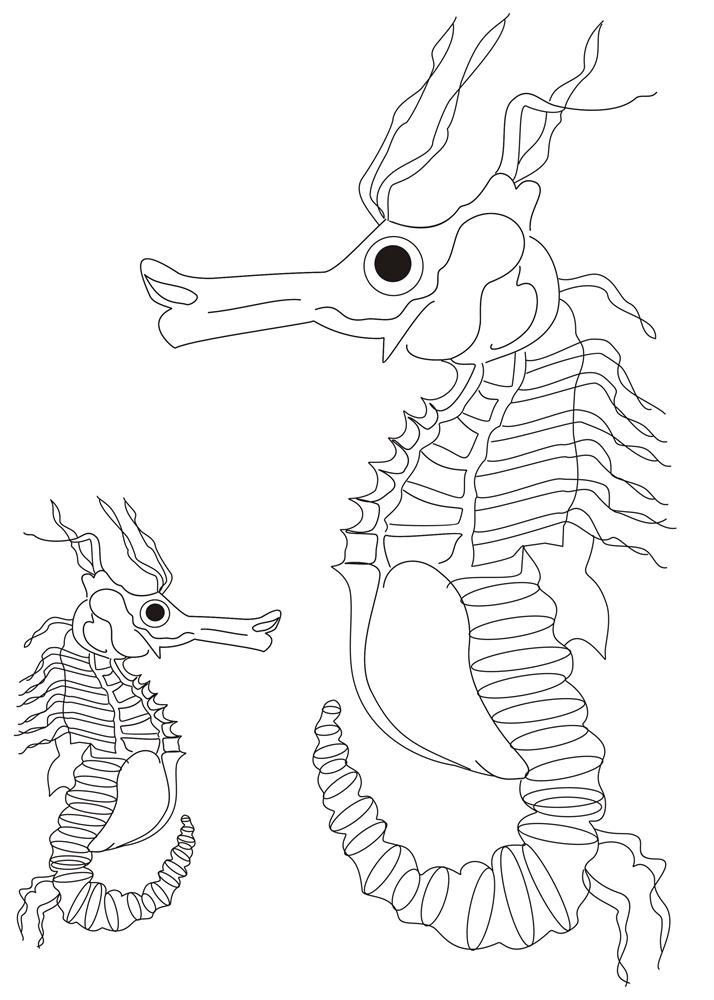 sea horses coloring pages - photo #33