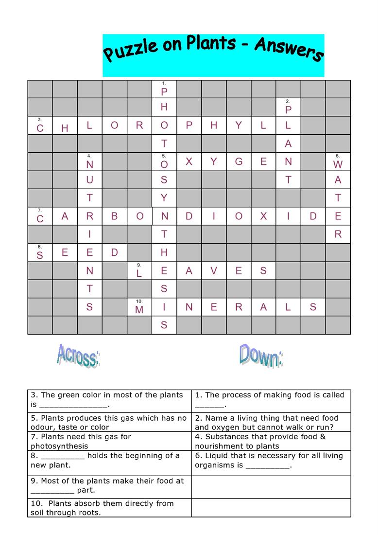 Crossword_6_ans