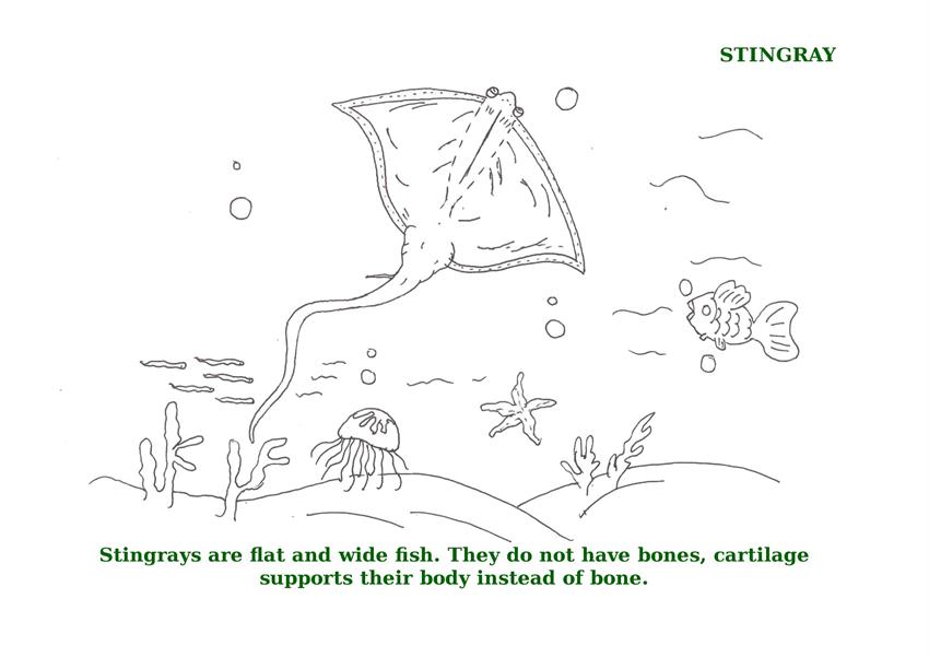 Ocean Animals Printable Coloring Pages For Kids 3